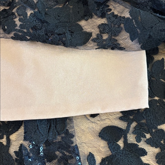 Dress the Population Women's Audrey Floral Applique Lace Mini Dress Large Black - Picture 10 of 14